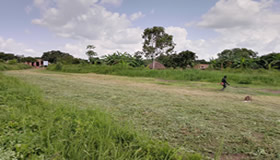 Image 01